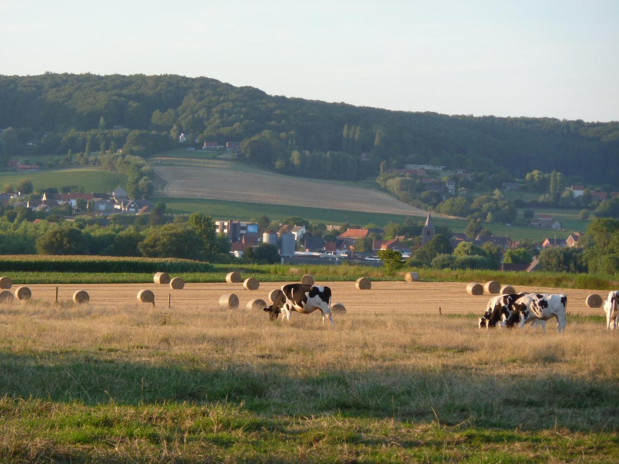 Entre Monts Et Collines B&B Et Spa En Option Exterior foto